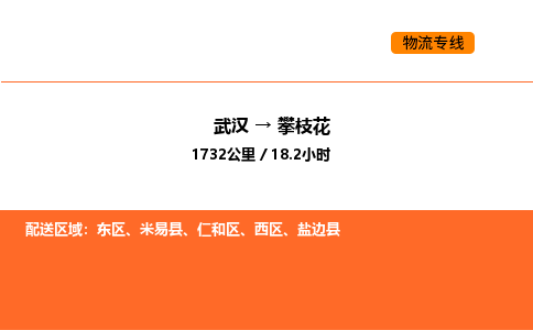 武汉到攀枝花物流公司|武汉到攀枝花物流专线|