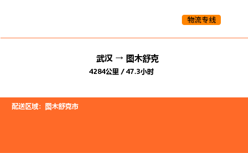 武汉到图木舒克物流公司|武汉到图木舒克物流专线|